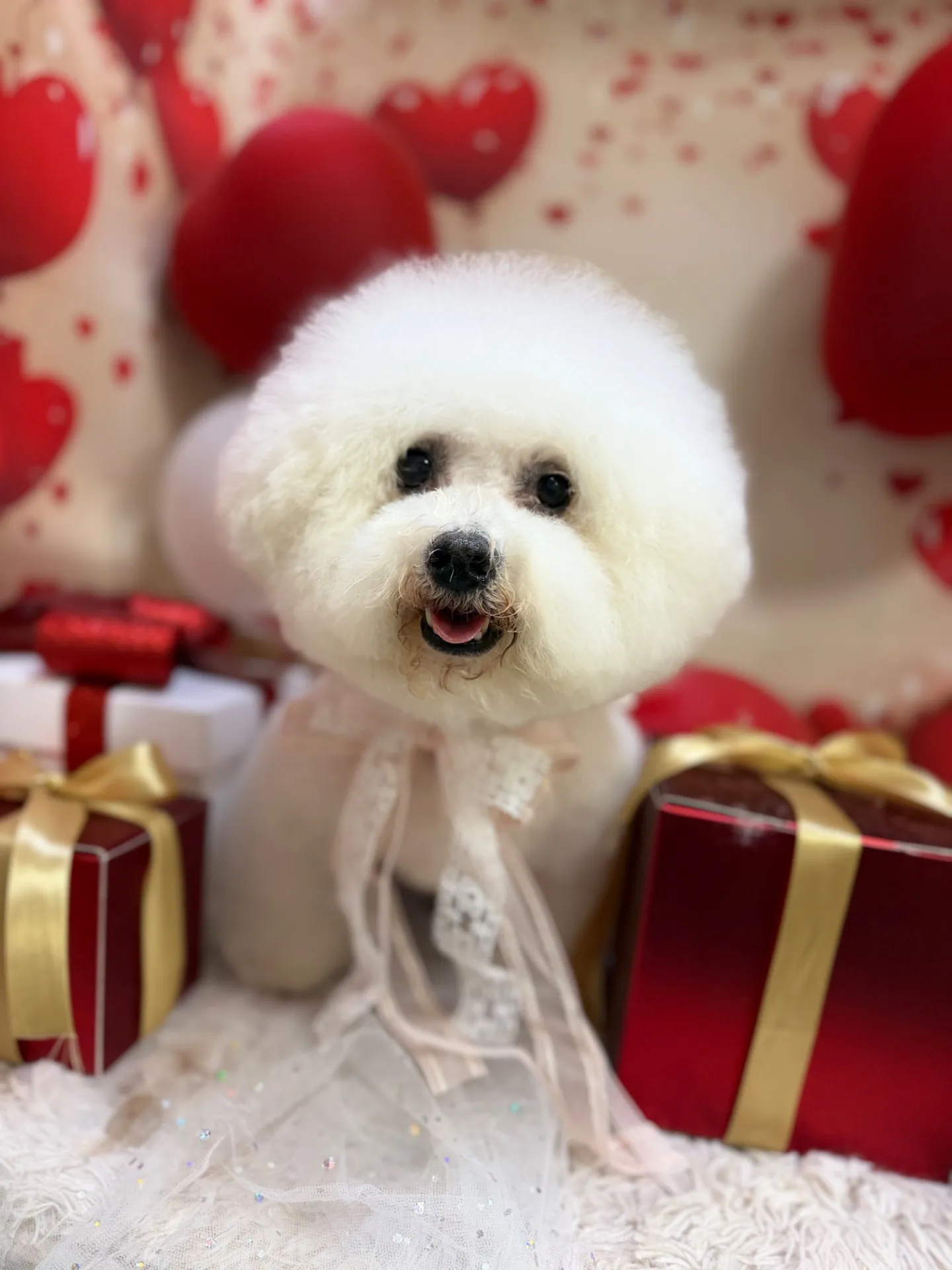 パンプキンちゃん