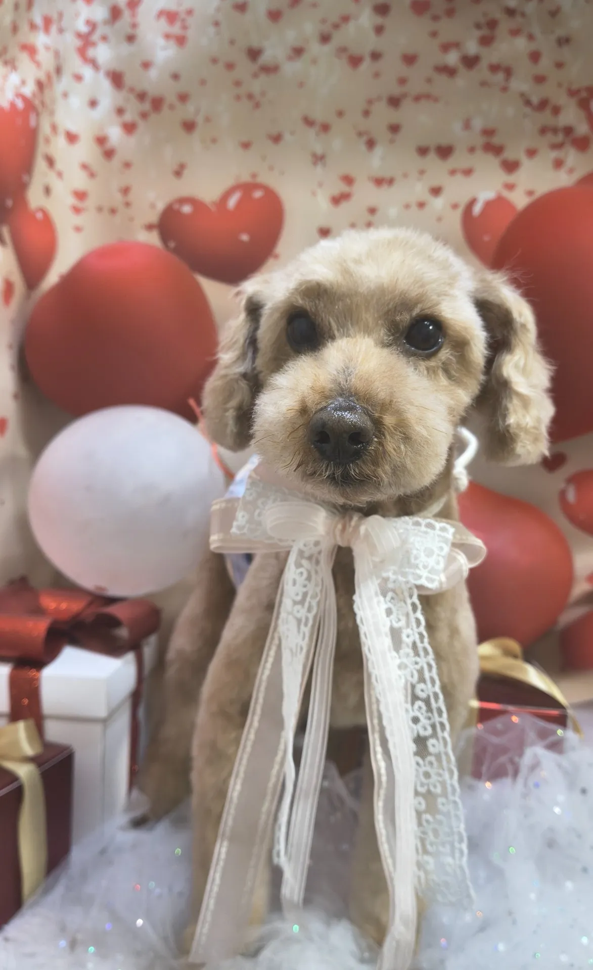 メロディーくん