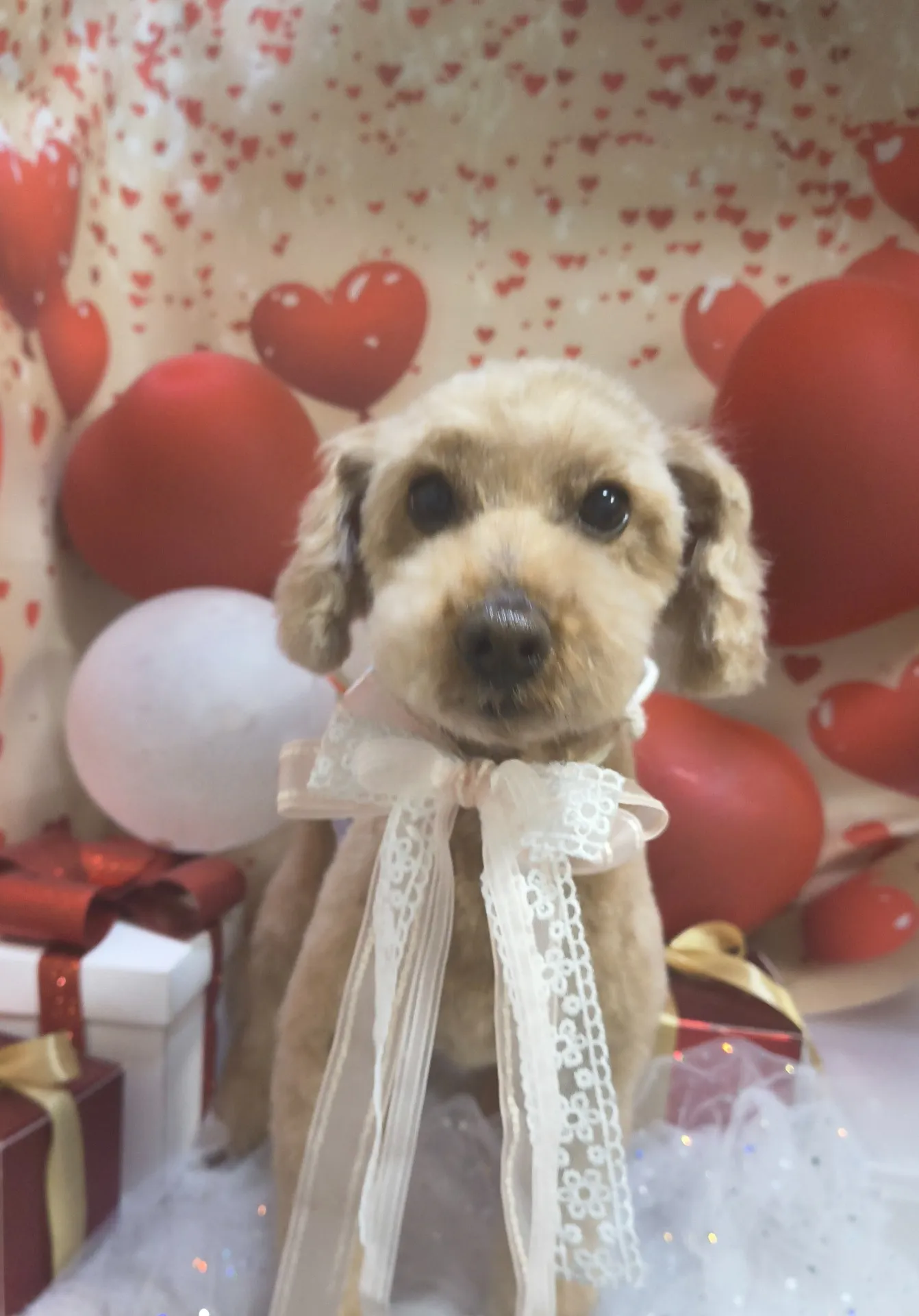 メロディーくん