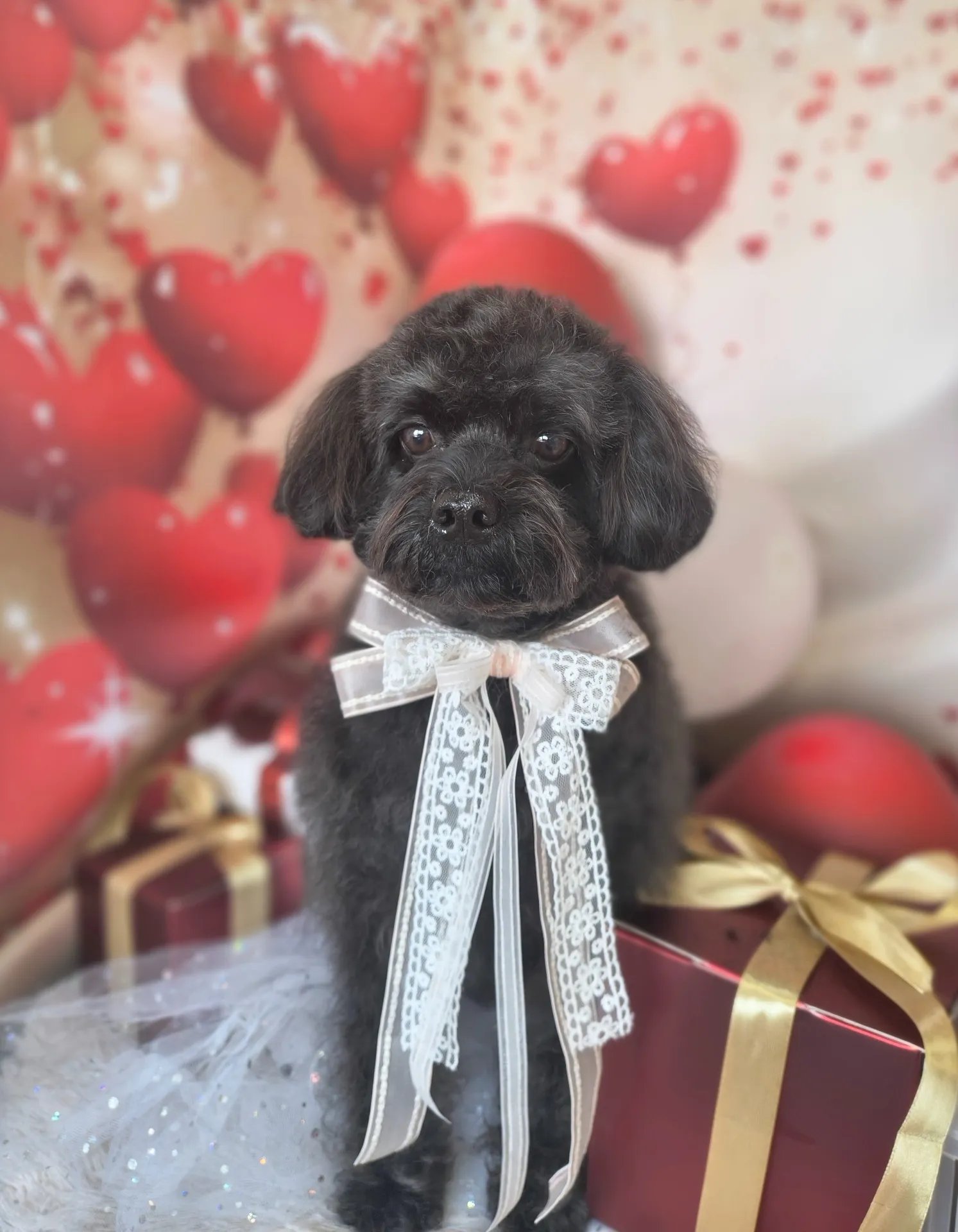 リュウノスケくん