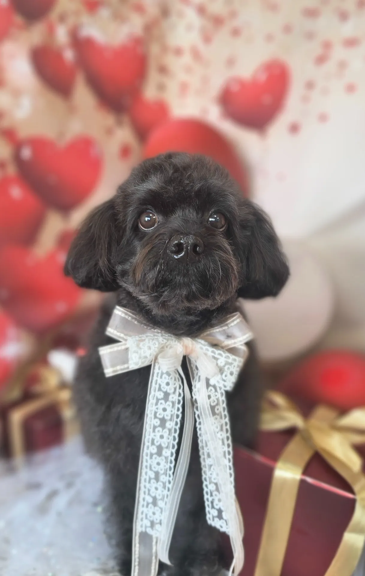 リュウノスケくん