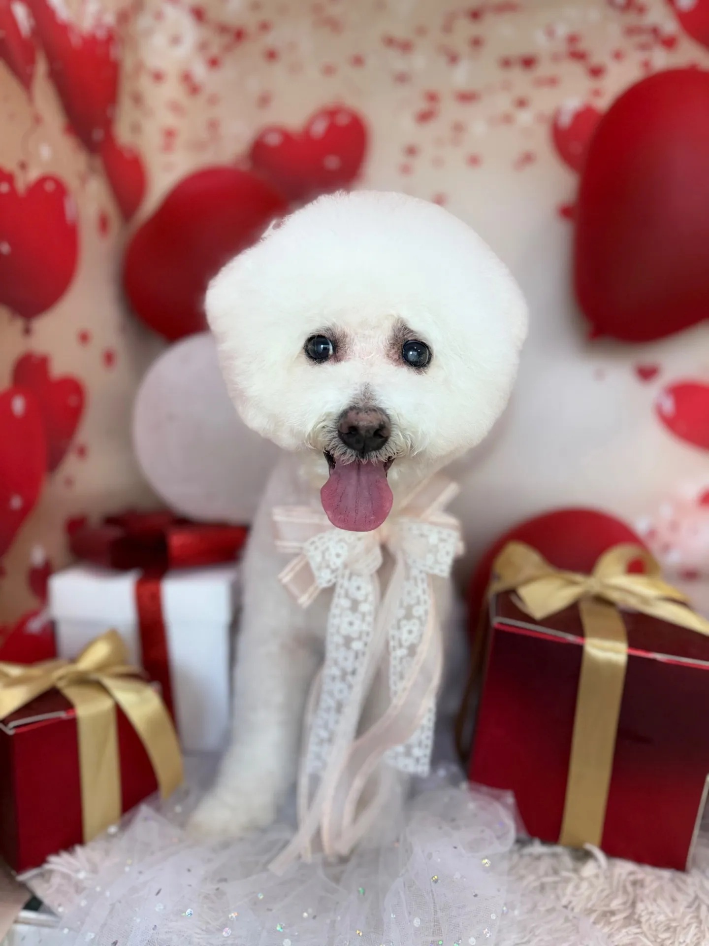 シュシュちゃん