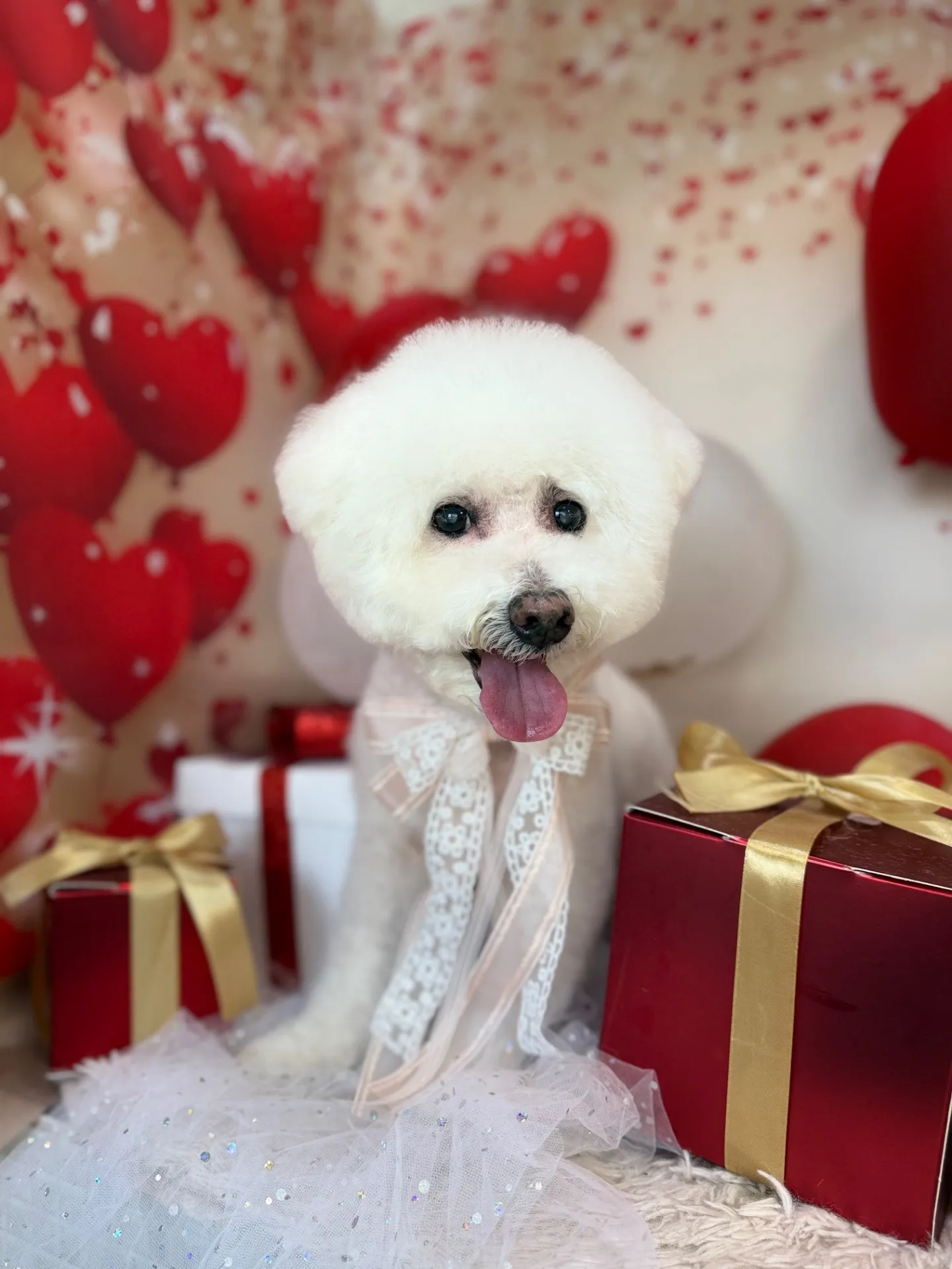 シュシュちゃん