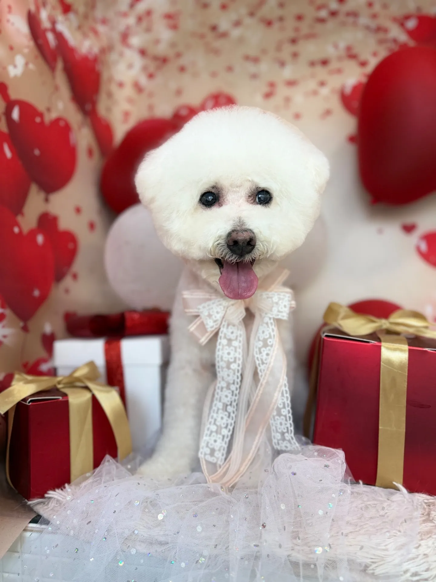 シュシュちゃん