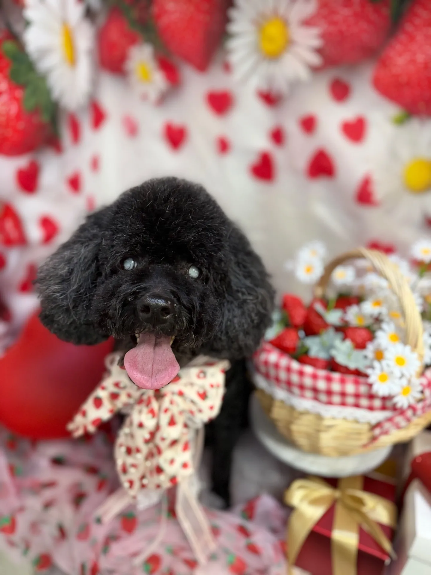 ナタリーちゃん