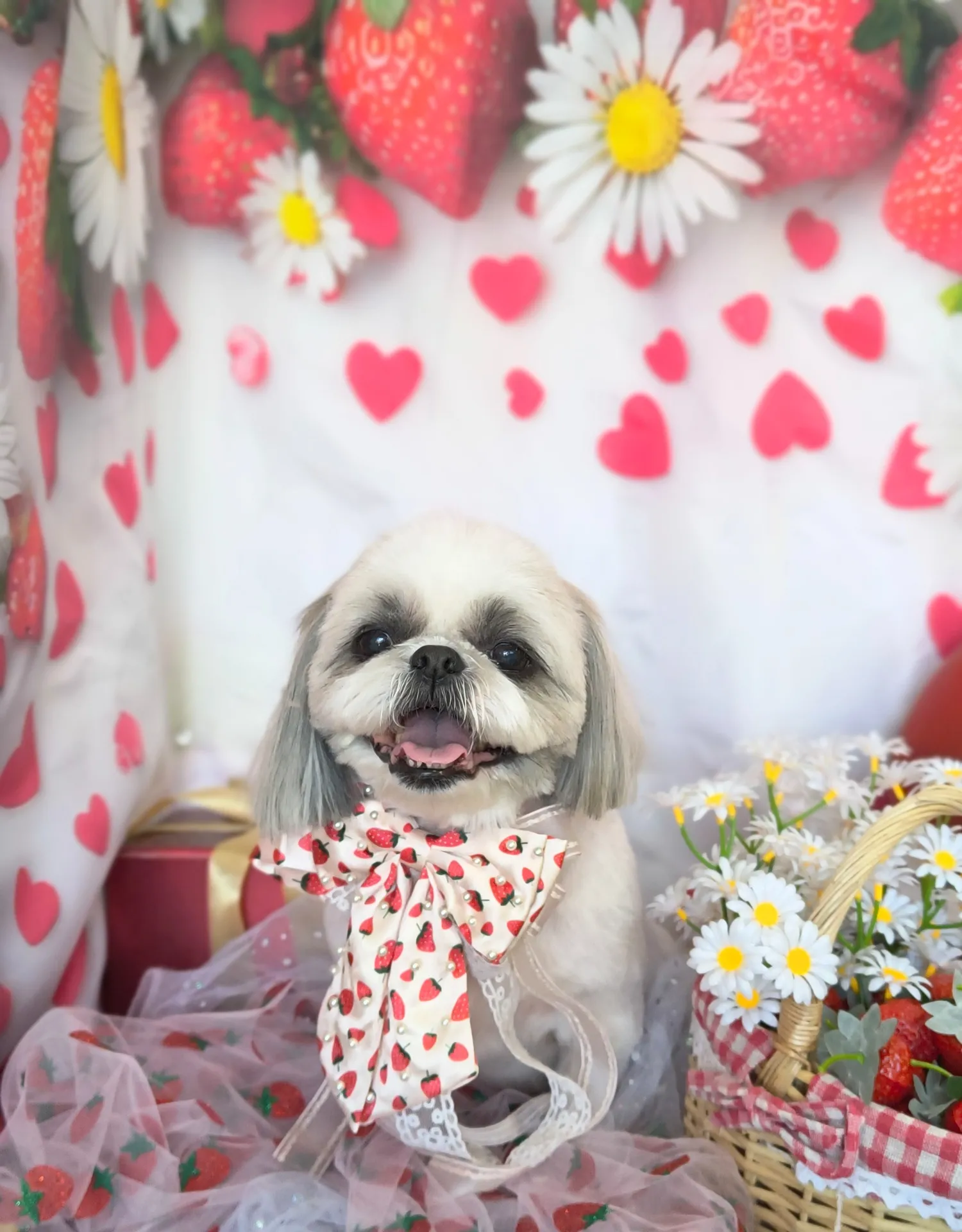 ミッキィちゃん