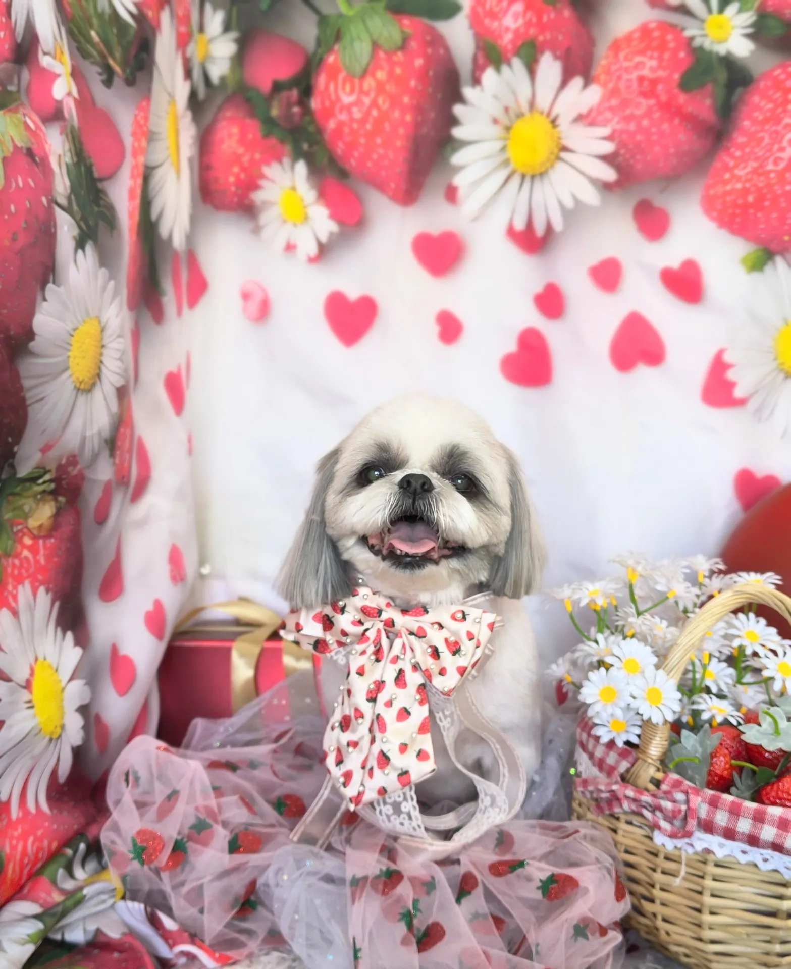 ミッキィちゃん