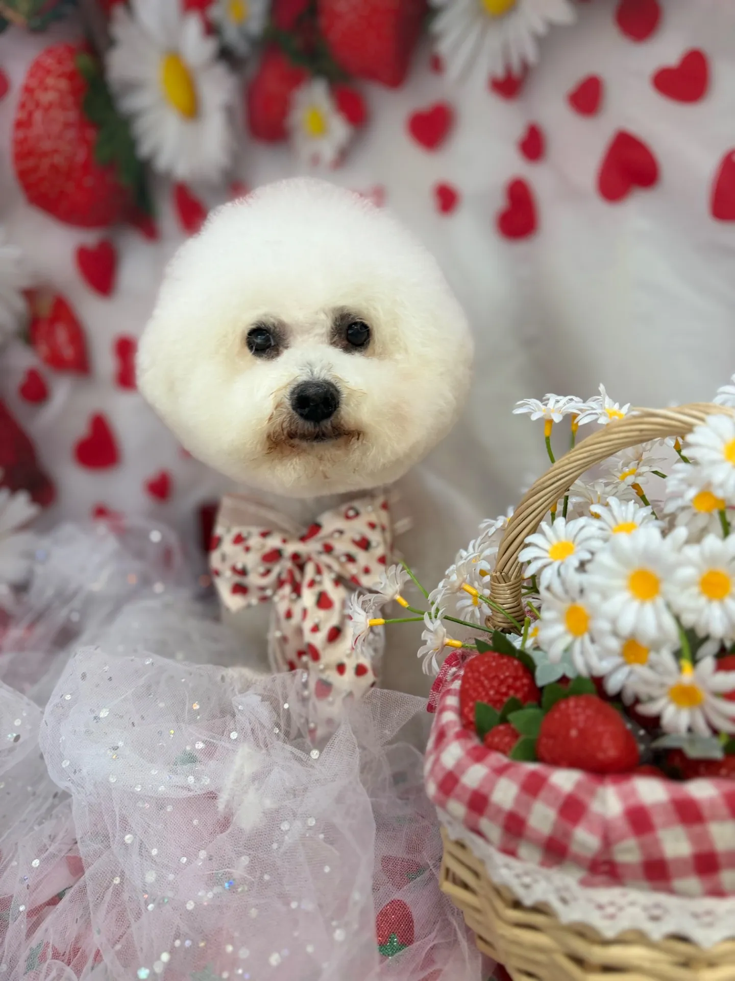 パンプキンちゃん