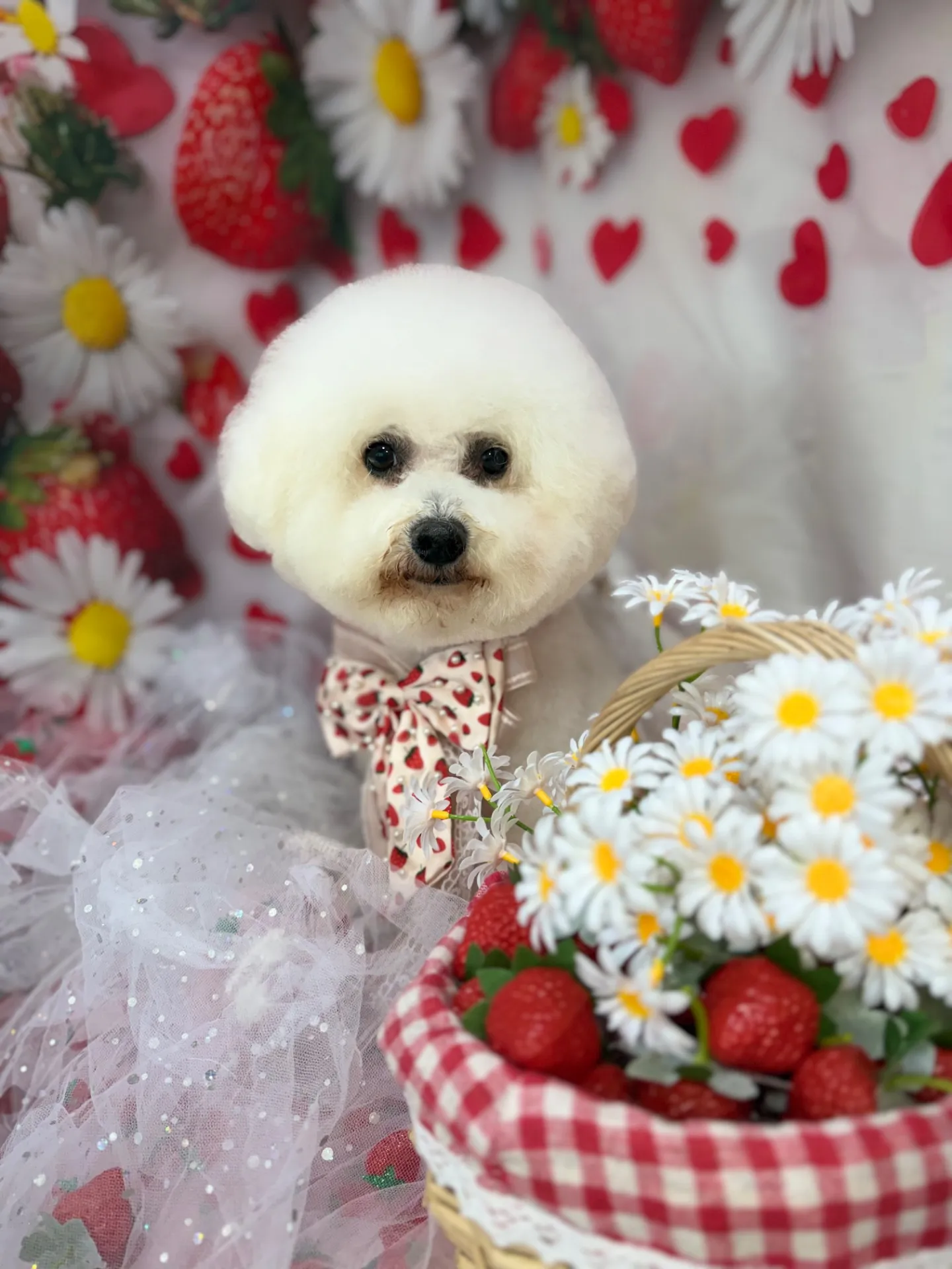 パンプキンちゃん