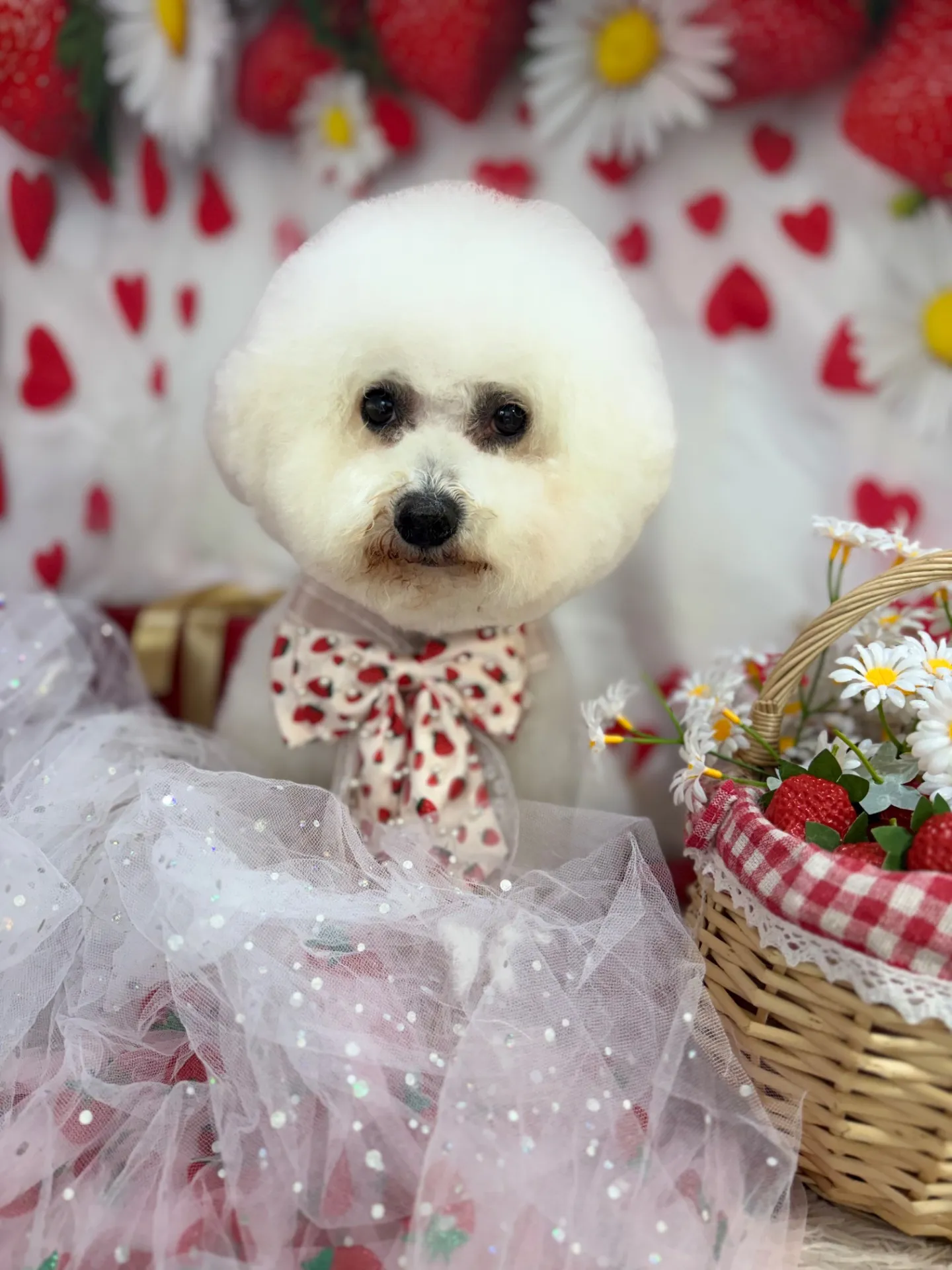 パンプキンちゃん