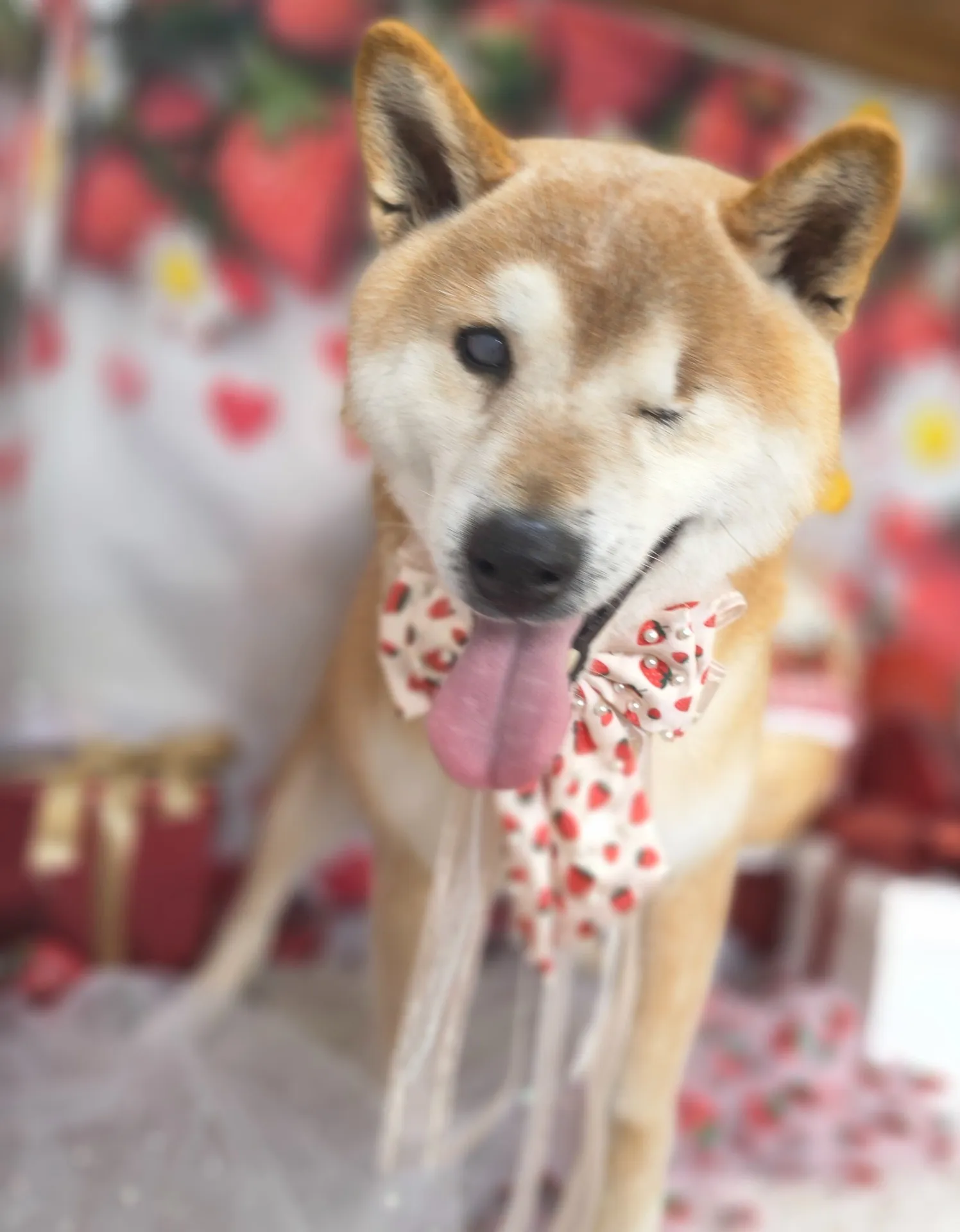 マルノスケくん