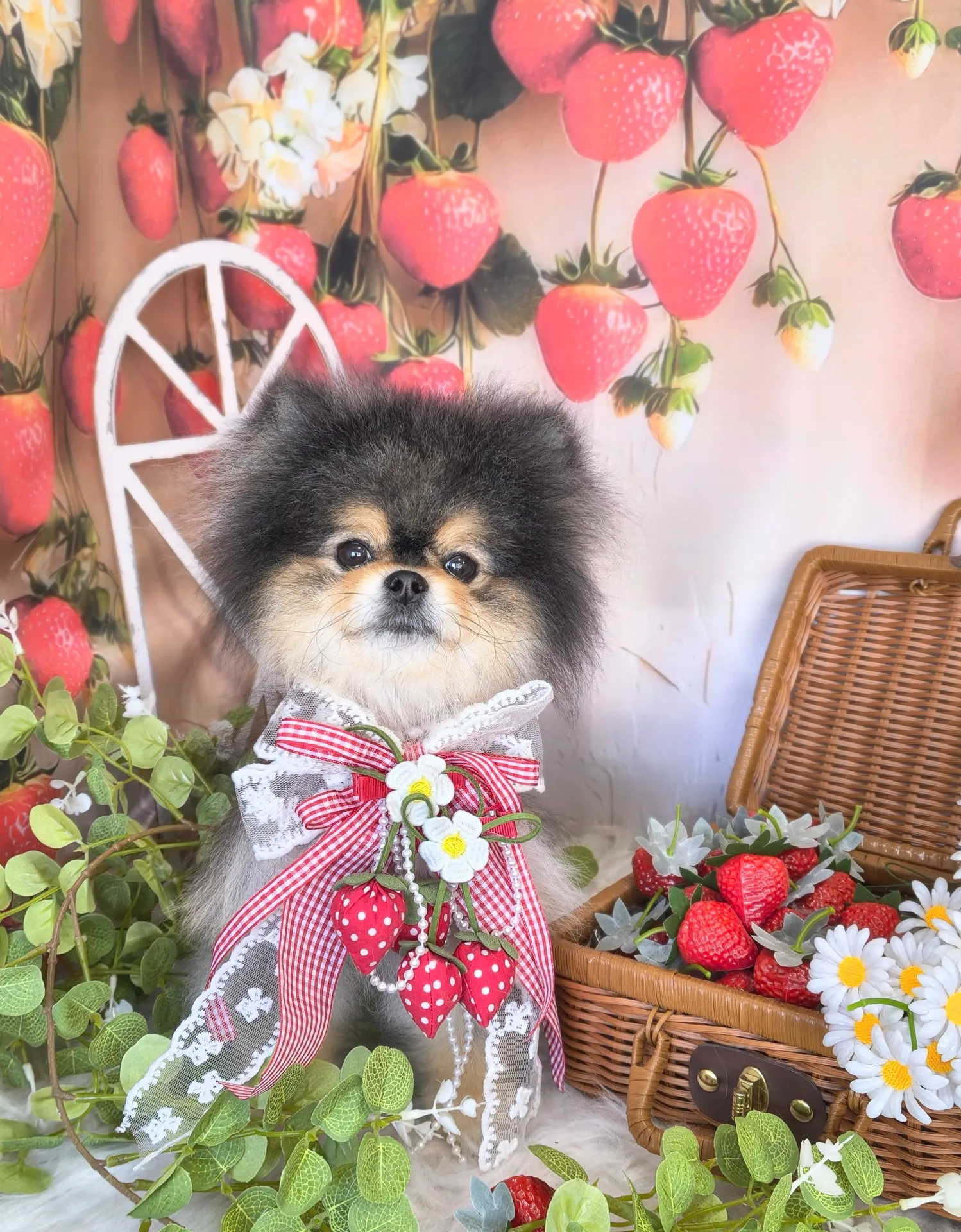 ラズベリーちゃん