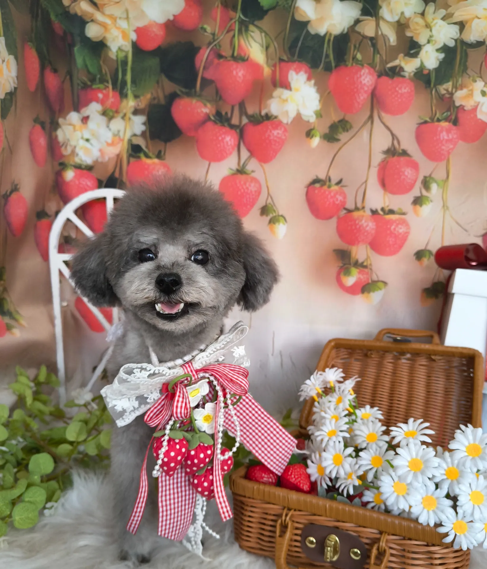 コバヤシネンジくん