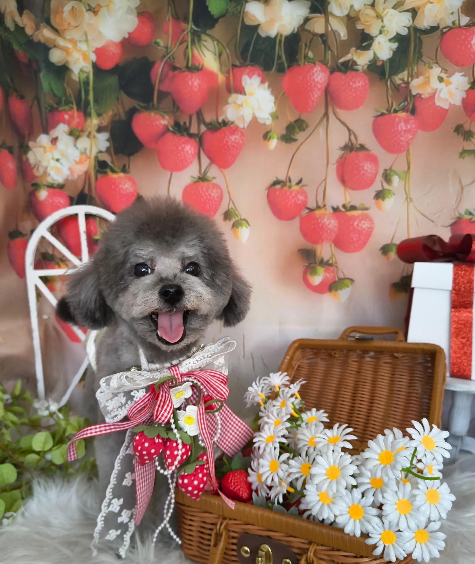 コバヤシネンジくん