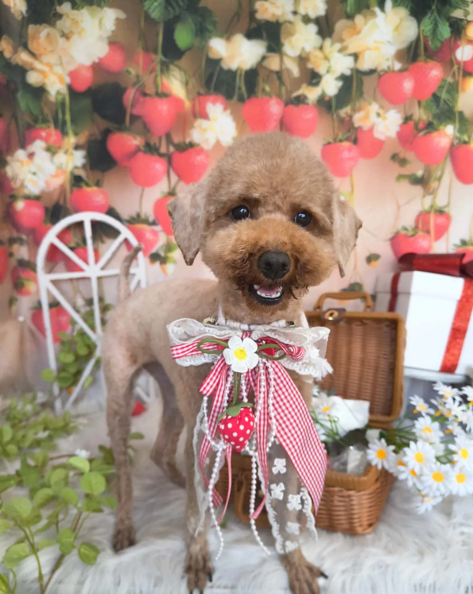 ヤマムラモミジちゃん