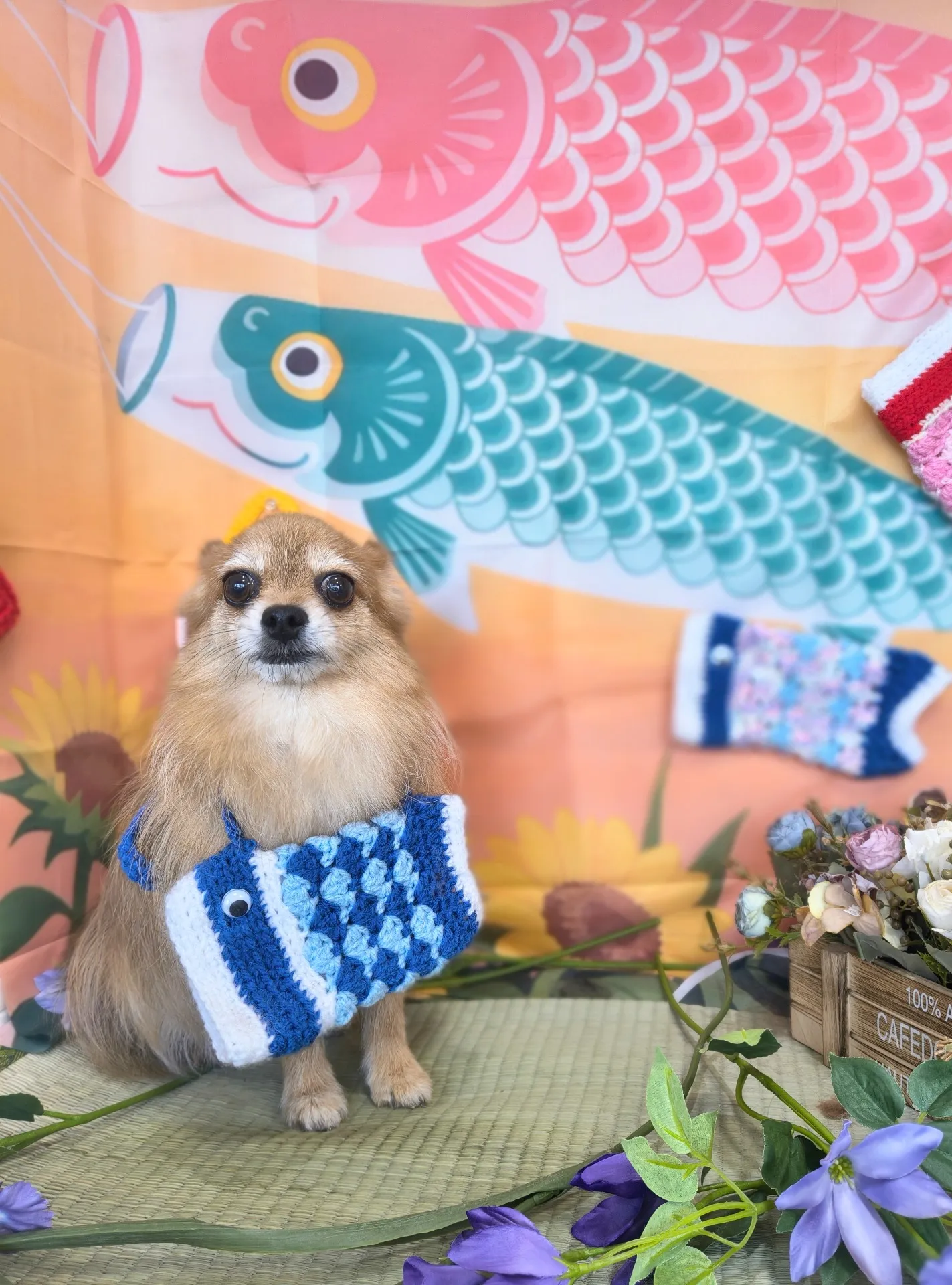 リアンくん