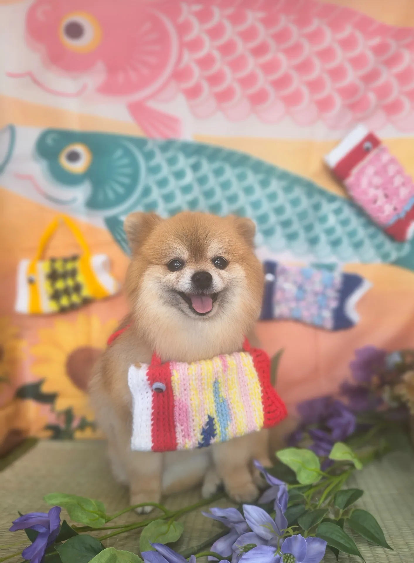 モコちゃん
