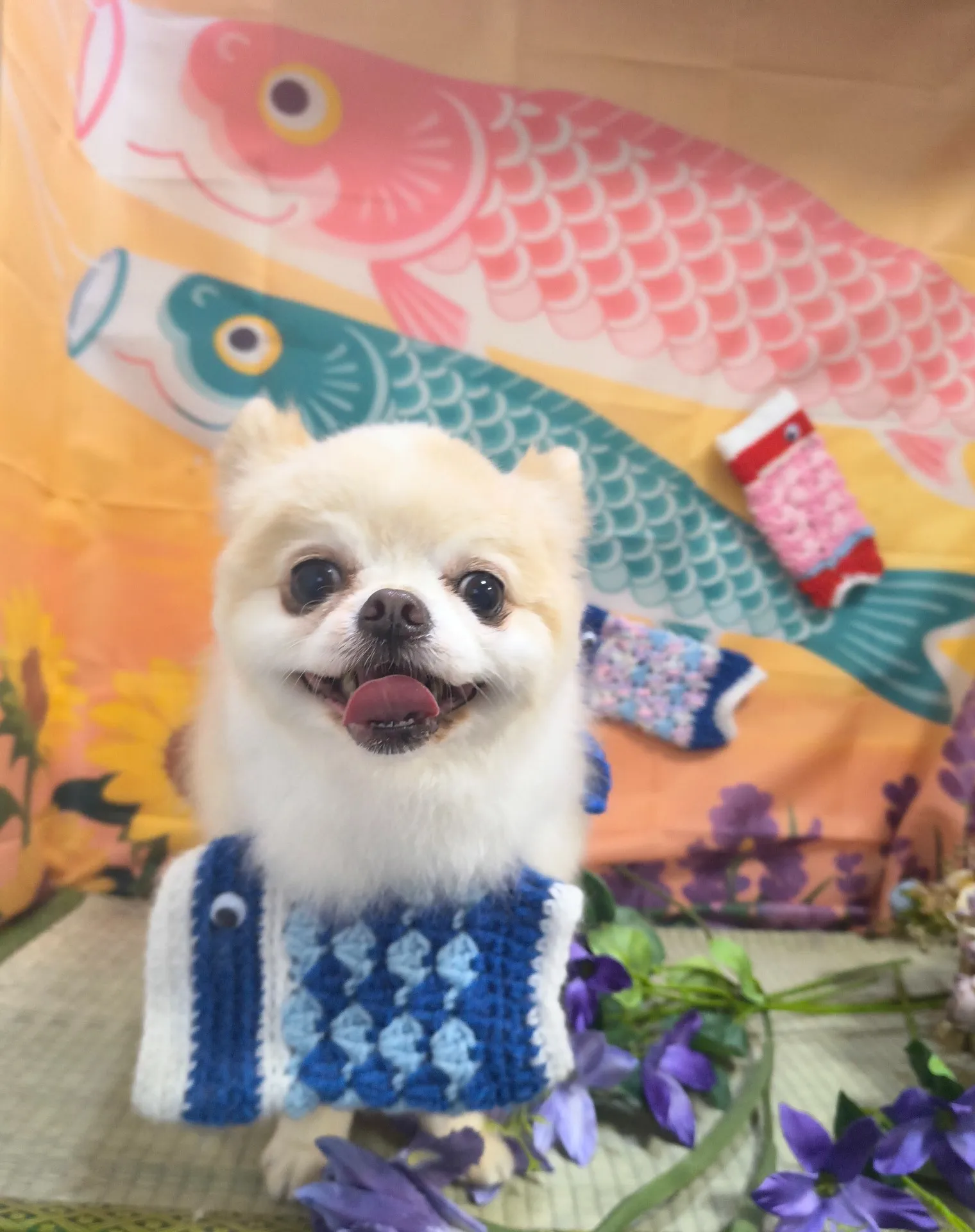レオくん