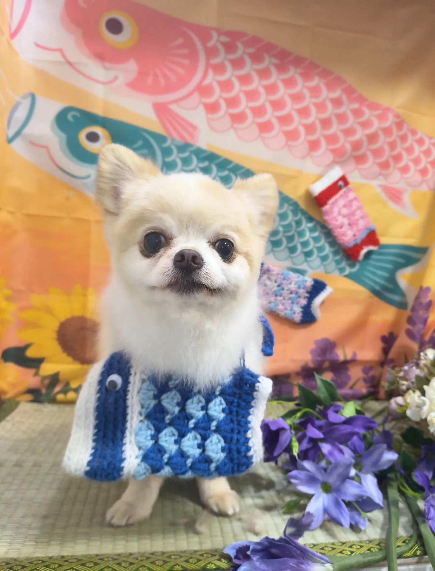 レオくん