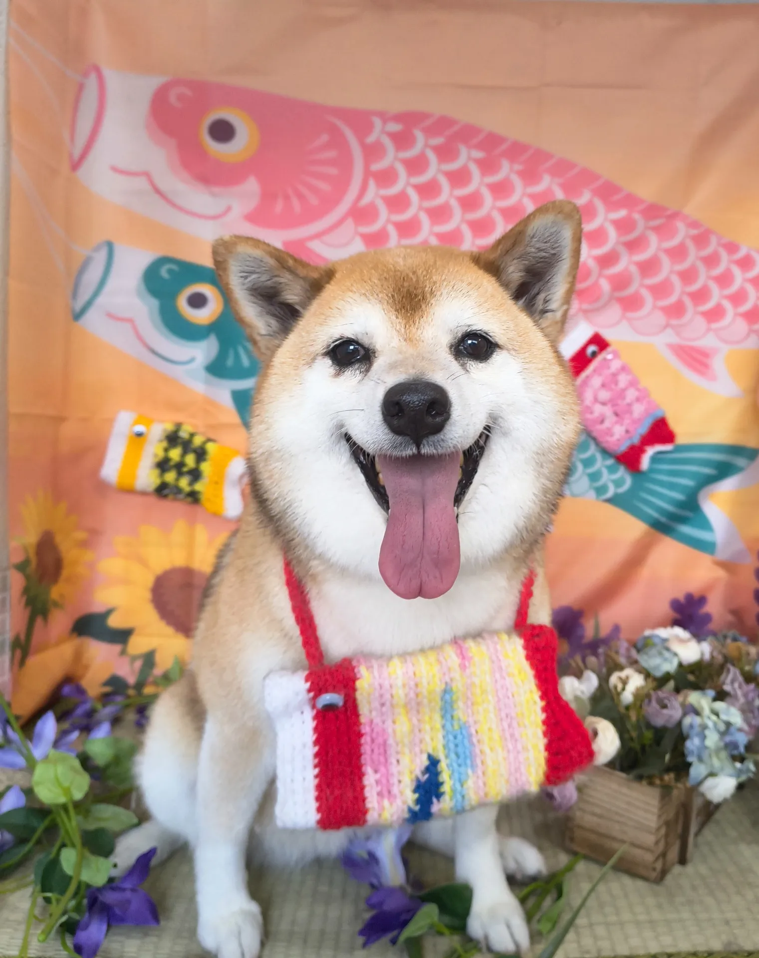 サクラちゃん