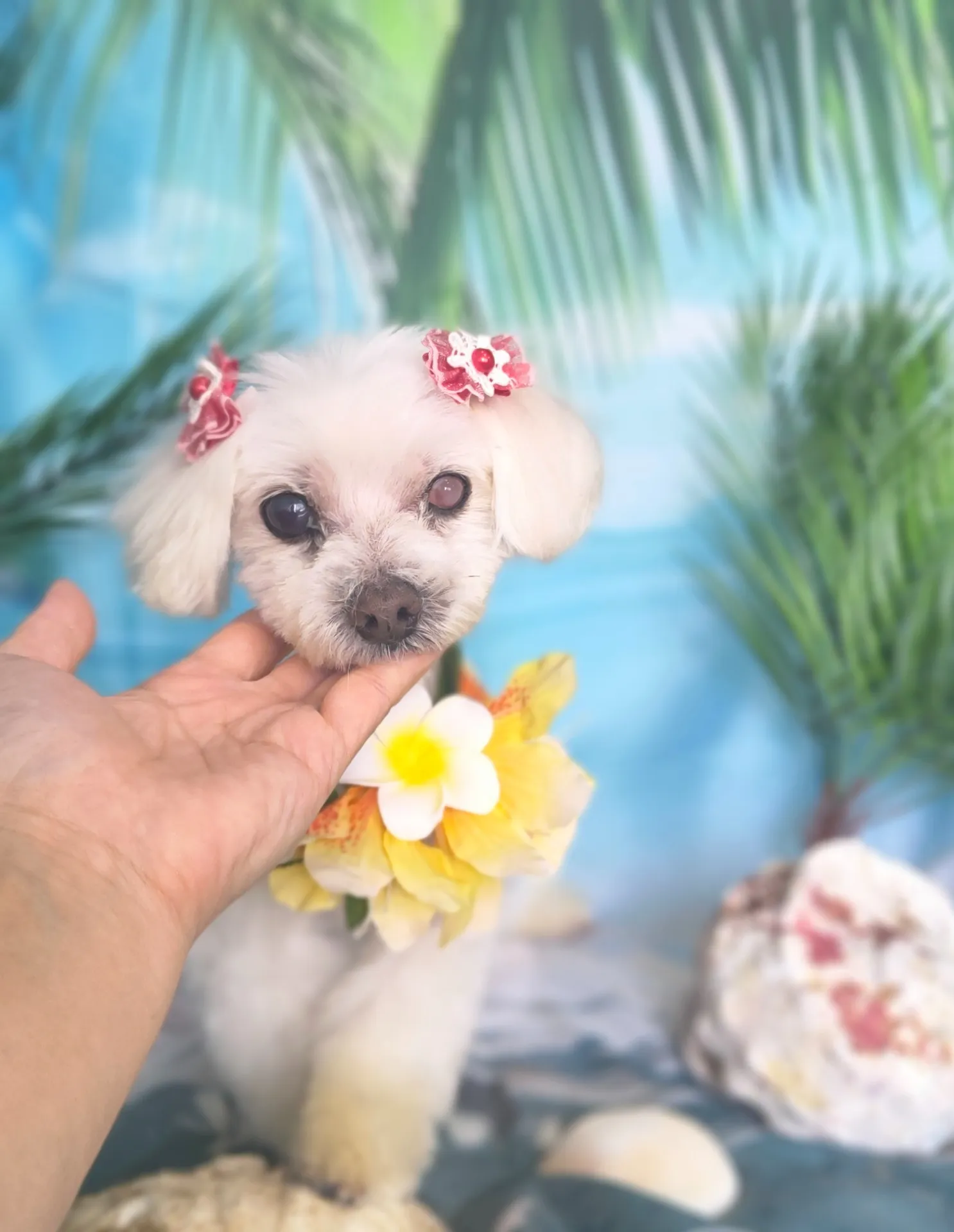 ユキちゃん