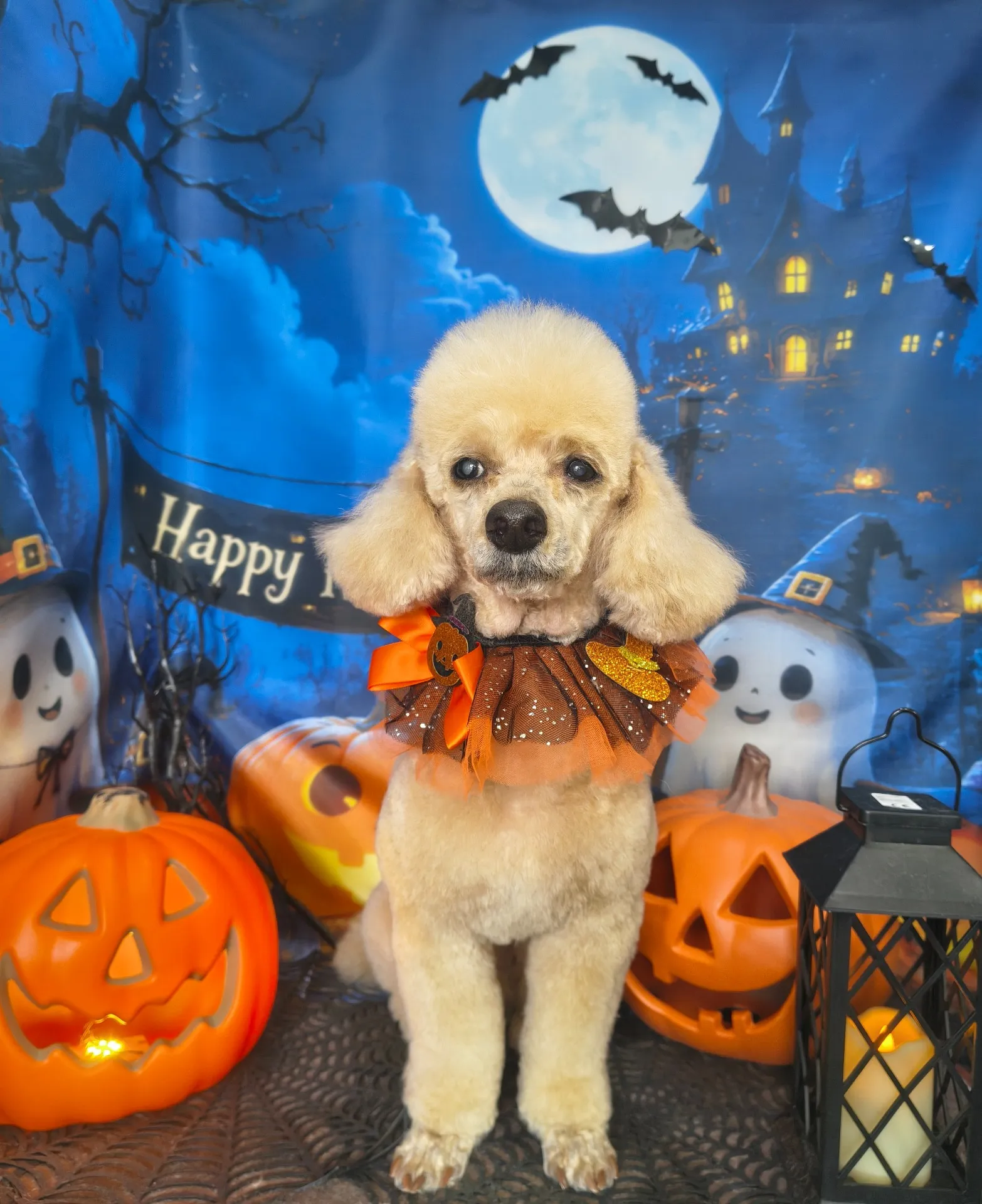 マルクくん