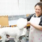 小型犬